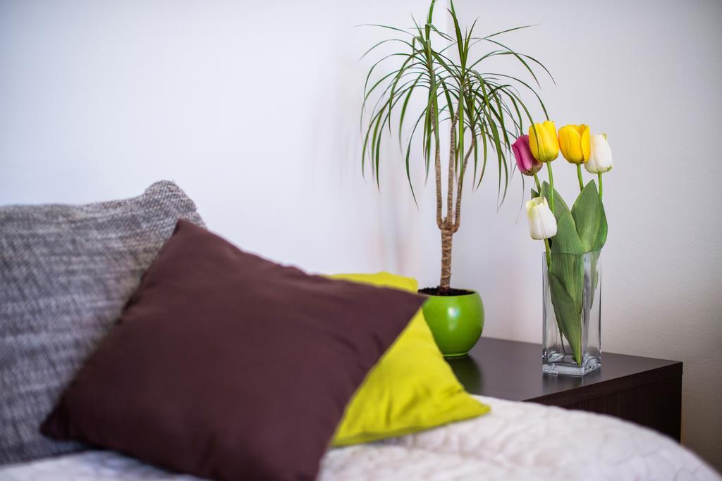 Apartment Dominik Podstrana Extérieur photo